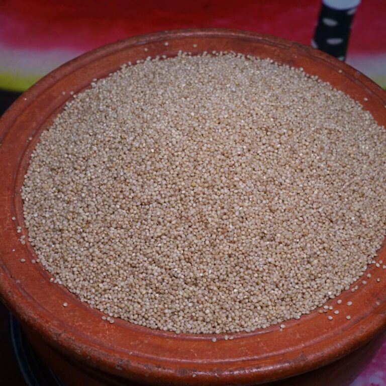 kudhiraivali